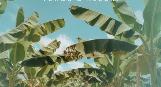 Farm Plots – On Sale Pricing